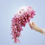 sweet-romance-cascade