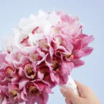 sweet-romance-cascade_02