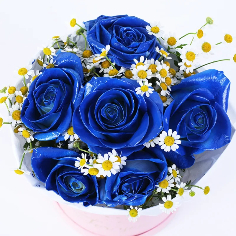 blue-butterfly-dream-box_02 blue butterfly dream box 02