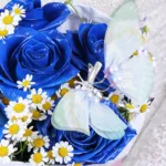 Blue Butterfly Dream Box 4 blue-butterfly-dream-box_04