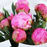 Elegant Peonies Bouquet 5 elegant-peonies-bouquet_02