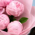 Five Peonies in Pink 2 five-peonies-in-pink_02
