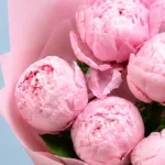 Five Peonies in Pink 3 five-peonies-in-pink_03
