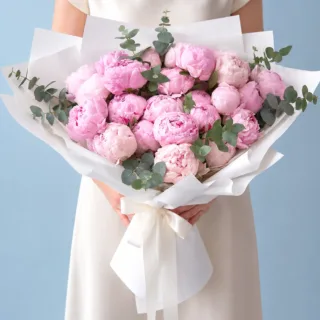 A luxurious hand-tied bouquet of fresh pink peonies featuring lush petals, green foliages elegantly wrapped in a white sheet with a satin ribbon.