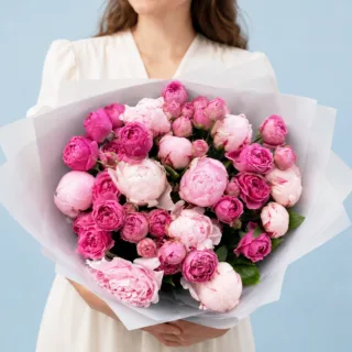 Premium hand-tied bouquet of fresh peonies showcasing a blend of blush and rose-coloured petals in a white wrapper.