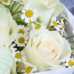 white-rose-butterfly-serenity-box_04