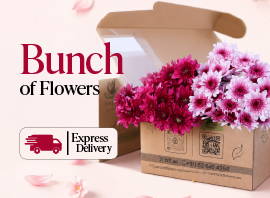 270x198 1