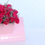 Dark Pink Spray Rose Envelope Box 4 dark-pink-spray-rose-envelope-box_04