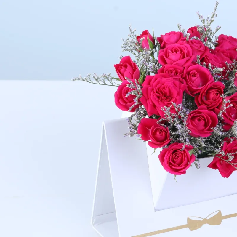 dark-pink-spray-rose-white-envelope-box_03 dark pink spray rose white envelope box 03