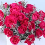 Dark Pink Spray Rose White Envelope Box 5 dark-pink-spray-rose-white-envelope-box_05