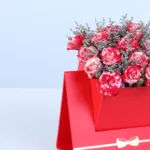 double-colour-spray-rose-envelope-box_03