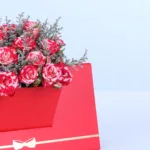 double-colour-spray-rose-envelope-box_04