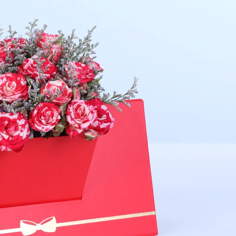 double colour spray rose envelope box 04
