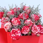 double-colour-spray-rose-envelope-box_05