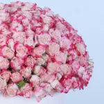 Double Colour Spray Rose Hat Box 3 double-colour-spray-rose-hat-box_03