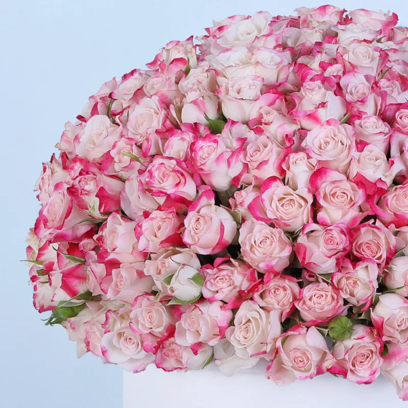 double-colour-spray-rose-hat-box_04 double colour spray rose hat box 04