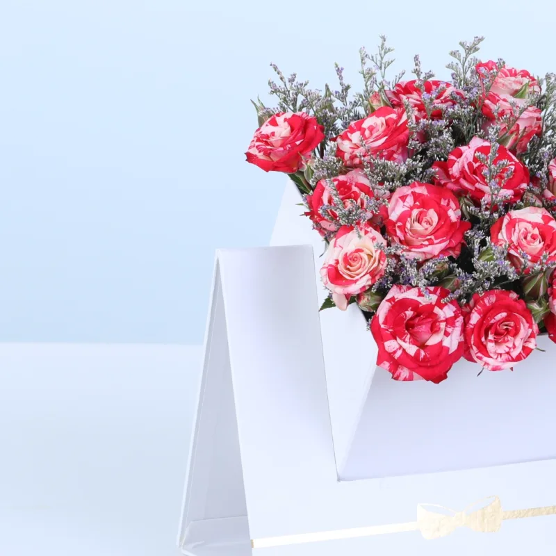 double colour spray rose white envelope box 03