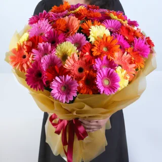 Mixed Gerbera Premium Hand Bouquet featuring 50 stems of fresh mixed gerberas hand-tied in premium floral wrapping for gifting and special occasions.