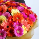 Mixed Gerbera Premium Hand Bouquet 2 mixed-gerbera-premium-hand-bouquet_02