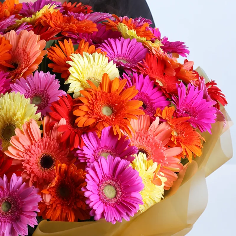 mixed-gerbera-premium-hand-bouquet_02 mixed gerbera premium hand bouquet 02