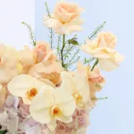 peach-blossom-hat-box_02