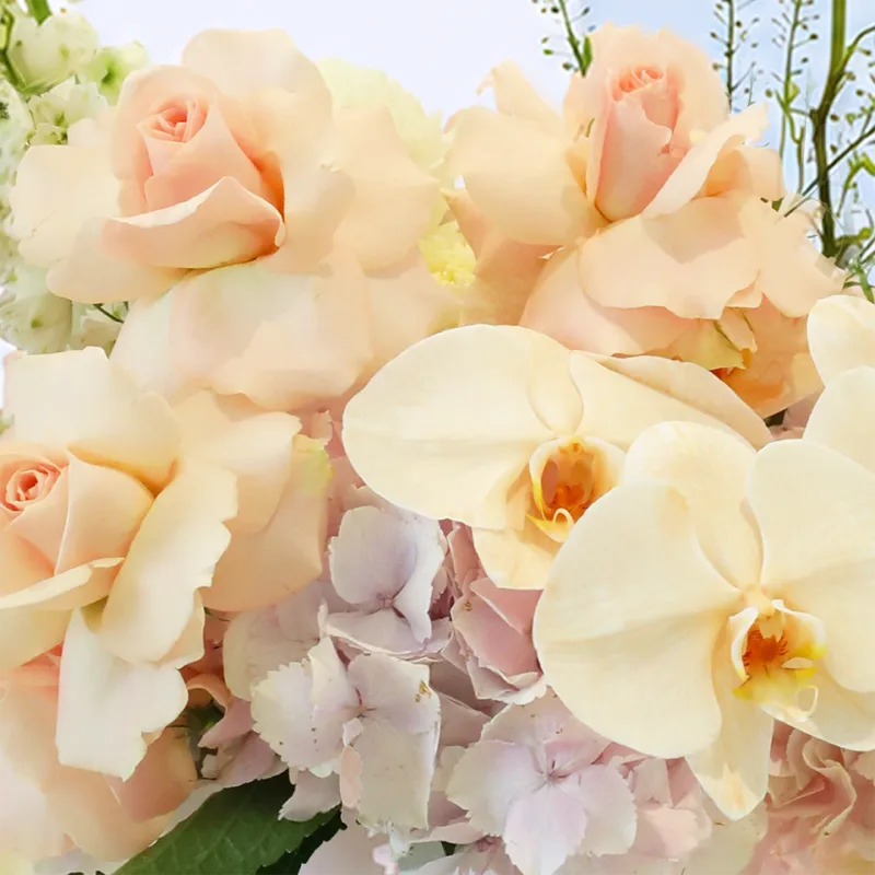 peach blossom hat box 04