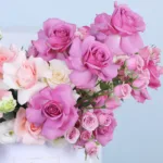 purple-pink-rose-hat-box_02