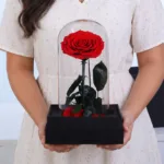 Red Forever Rose - Medium Size 2 single-red-forever-rose-glass-dome