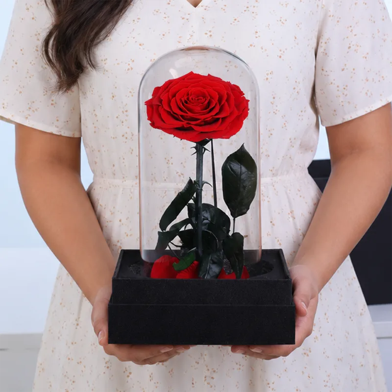 single-red-forever-rose-glass-dome single red forever rose glass dome