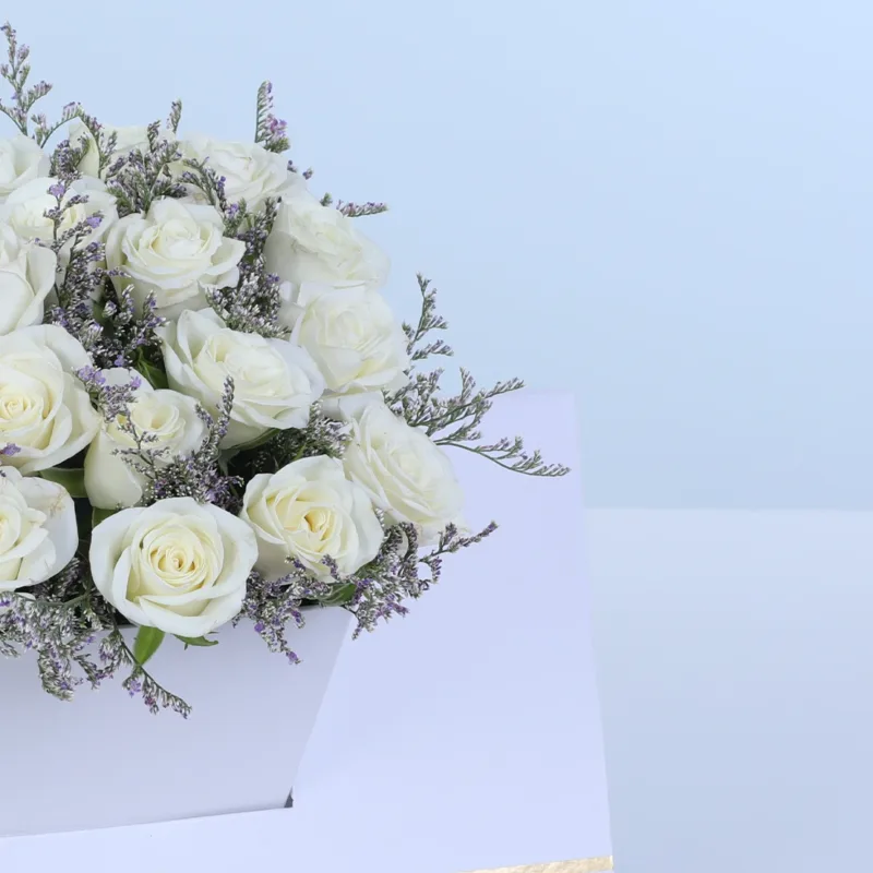 white-spray-rose-premium-envelope-box_04 white spray rose premium envelope box 04