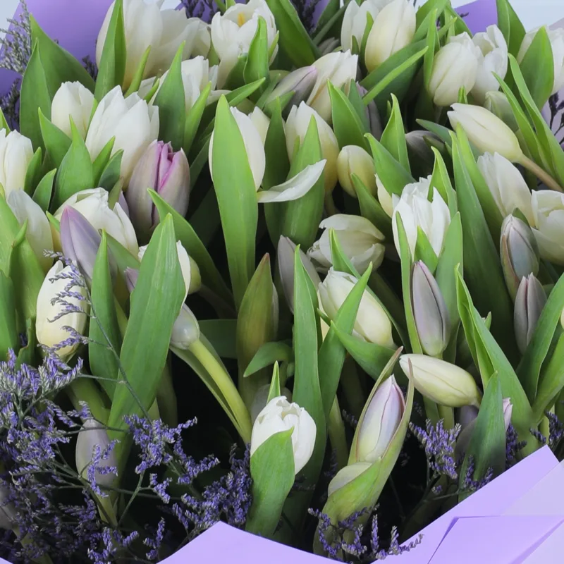 purple-white-tulip-elegance-bouquet_05 purple white tulip elegance bouquet 05