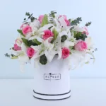 gentle-grace_02