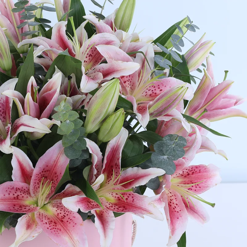 pink-lily-paradise_04 pink lily paradise 04