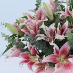 Pink Lily Paradise 5 pink-lily-paradise_05