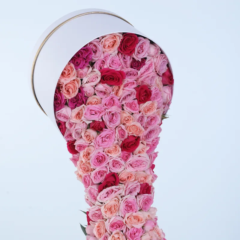 pink red rose overflow box 03