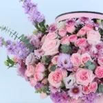 pink-twilight_04