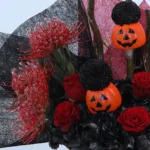 wicked-pumpkin-garden_05