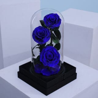 BTF Home 31 Charming dark blue trio Forever Roses, beautifully preserved in a glass dome box.