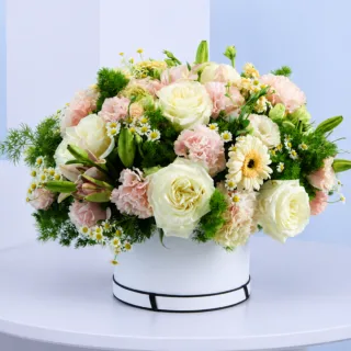 BTF Home 97 Ivory Blush Floral Hat Box featuring fresh white garden roses, pink lilies, peach gerberas, light pink lisianthus, white tanacetum, and asparagus foliage beautifully arranged in a premium white hat box for gifting and special occasions.