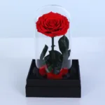 Red Forever Rose - Medium Size 1 single-red-forever-rose-glass-dome_02