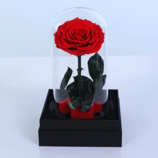BTF Home 28 Red Forever Rose inside in a 15 cm clear glass dome with a premium black base, ideal for gifting and home décor.