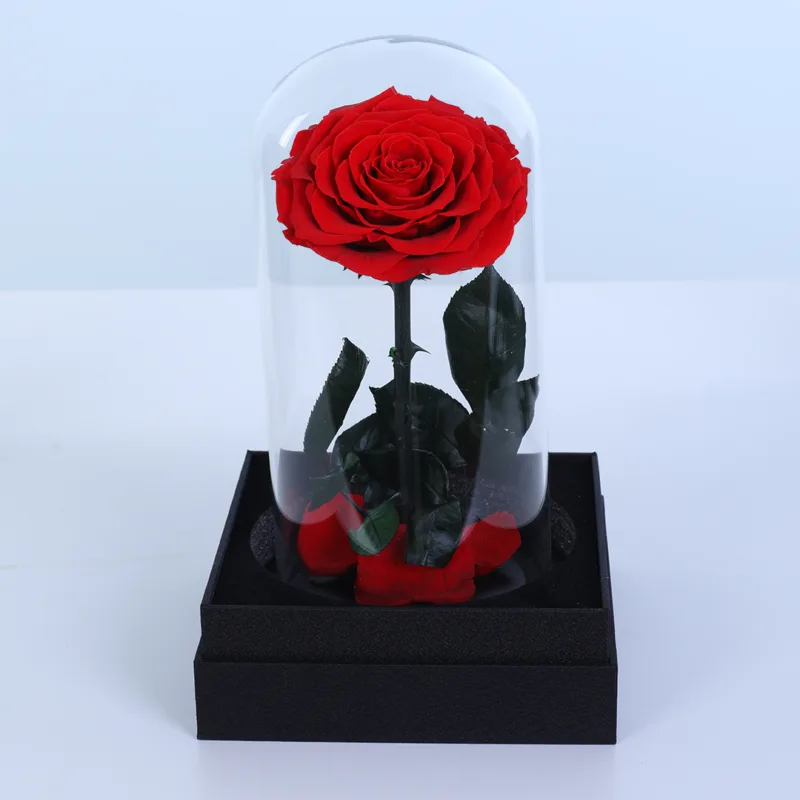 single-red-forever-rose-glass-dome_02 Red Forever Rose inside in a 15 cm clear glass dome with a premium black base, ideal for gifting and home décor.